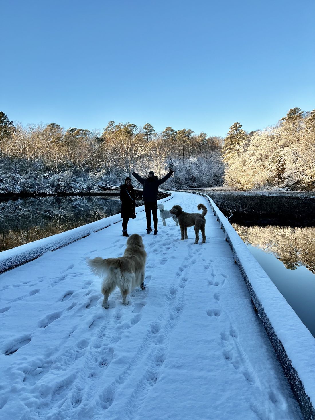 Two friends and their dogs on a snow-covered boardwalk on a winter morning