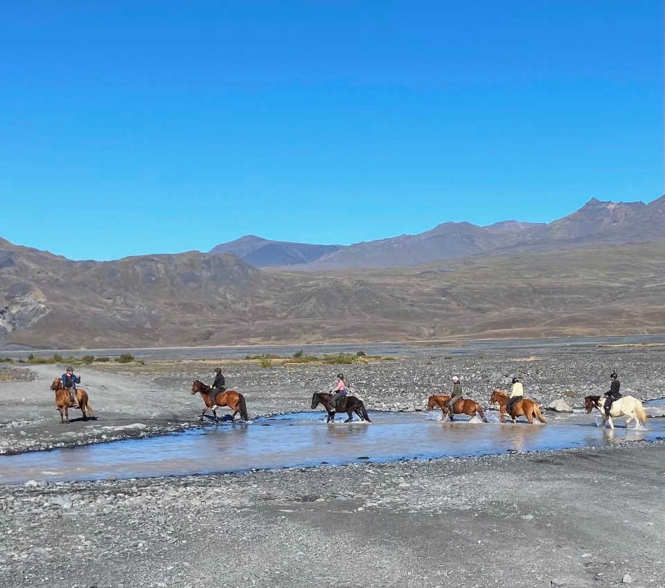 Eight riders strung out in a line on Icelandic horses, fording a shallow braided river under a clear blue sky