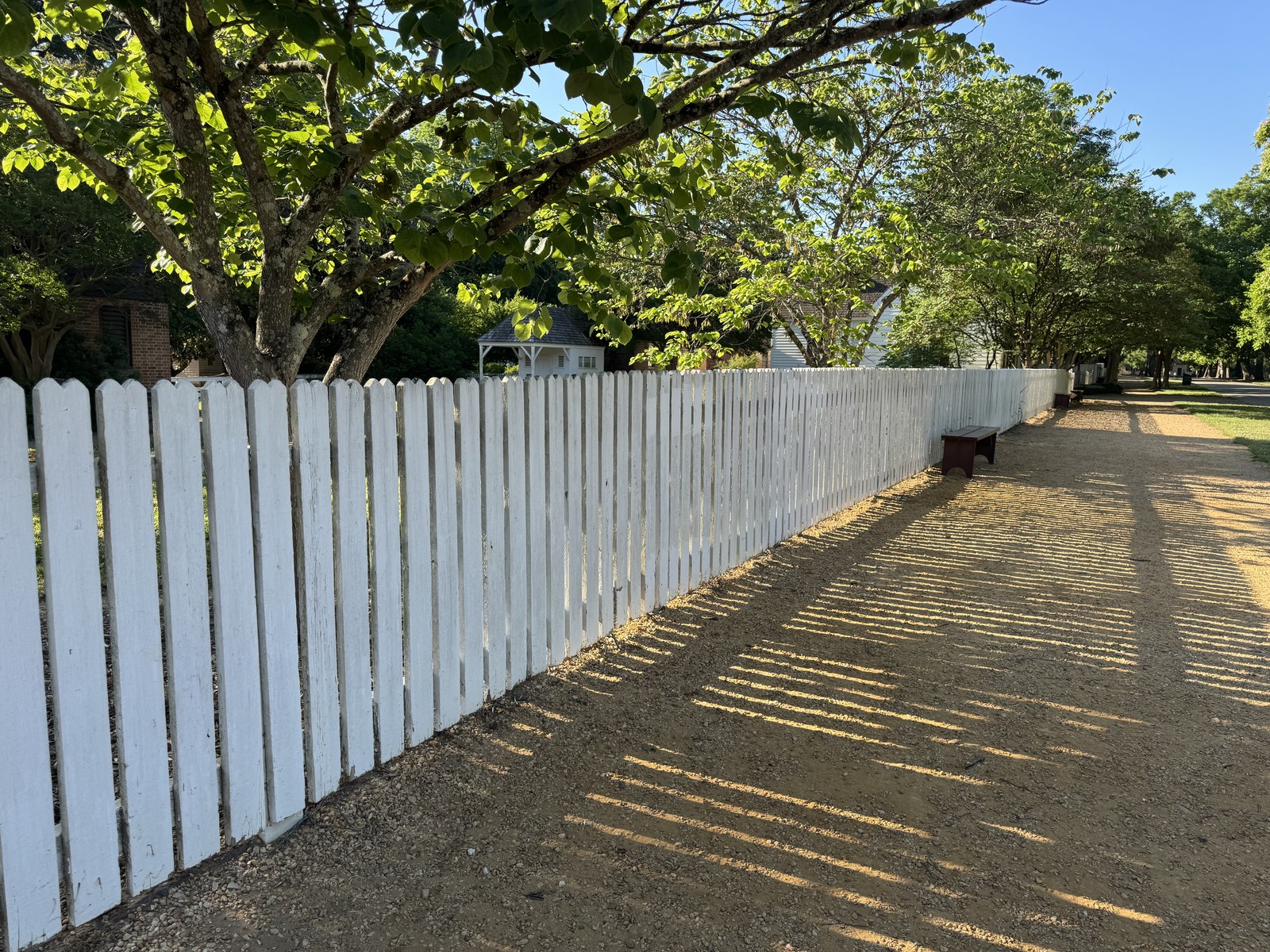 White picket fence along a tree-lined path